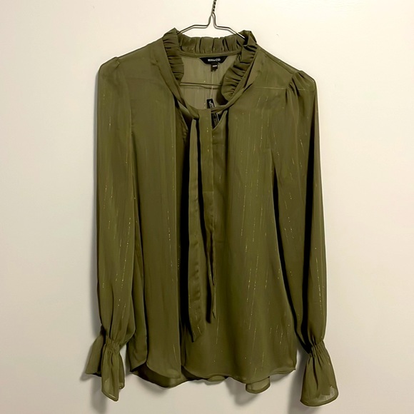RW&CO sheer dark green long sleeve top. Size XS - Picture 2 of 4